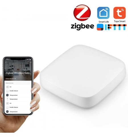 Zigbee Wireless смарт хъб AGROELITE FK-TYGWZW-01