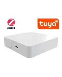 Zigbee Wireless смарт хъб AGROELITE FK-TYGWZW-01N