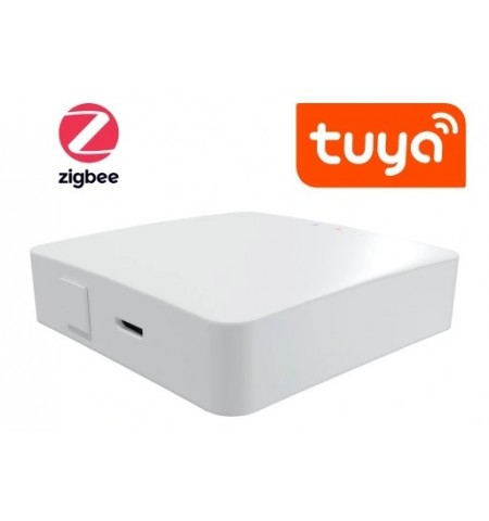 Zigbee Wireless смарт хъб AGROELITE FK-TYGWZW-01N